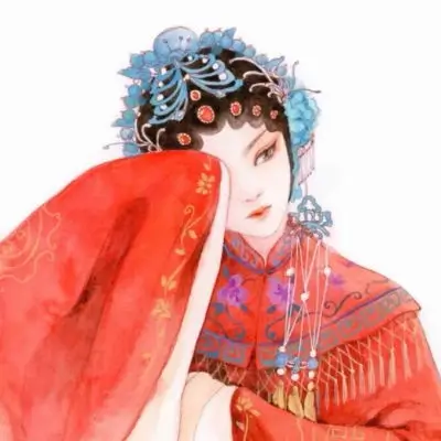 南枝与风 的头像